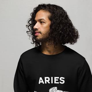 Aries relleno sueter - ouraxo