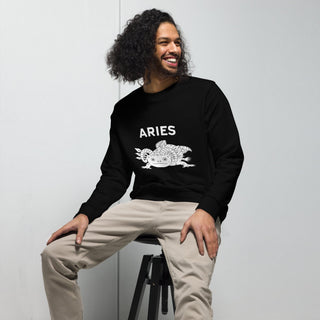 Aries relleno sueter - ouraxo