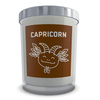 CAPRICORN SIGN CANDLE - ouraxo