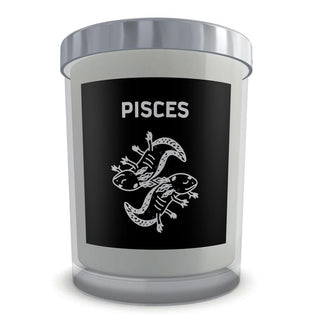 PISCES SIGN CANDLE - ouraxo
