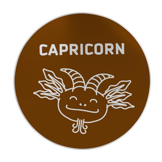 ZODIAC WHEEL WITH CAPRICORN SIGN TOP - ouraxo